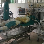 Lấy nước mắm, mỡ trăn chữa bỏng, ruồi nhặng theo bệnh nhân vào tận viện