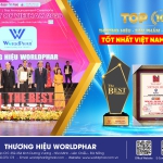 WORLDPHAR ĐÓN NHẬN GIẢI THƯỞNG THE BEST OF VIETNAM 2024 (THƯƠNG HIỆU – SẢN PHẨM – DỊCH VỤ TỐT NHẤT VIỆT NAM 2024)