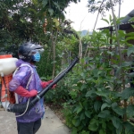 Quảng Nam bùng phát dịch sốt xuất huyết