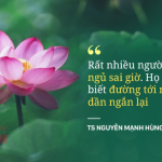 TS Nguyễn Mạnh Hùng: 