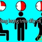 10 dấu hiệu cho thấy bạn có một cơ thể và sức khỏe lý tưởng