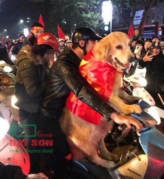 'Đi bão': Vui thôi, đừng vui quá! - ảnh 2